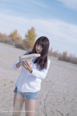 南来北往电视剧免费观看完整版