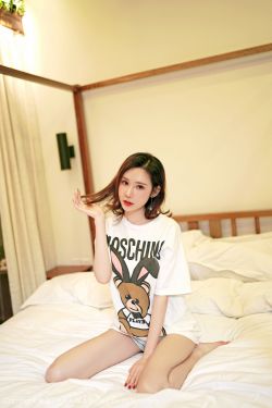 三国后宫传